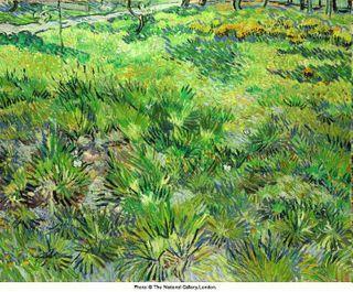 Van Gogh - L'herbage aux papillons, 1890