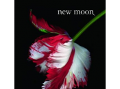 tulipe Moon Stephenie Meyer ignore qu'elle veut dire