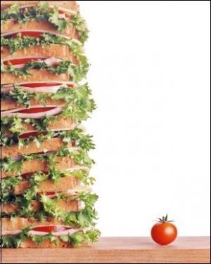 sandwich (illustration)