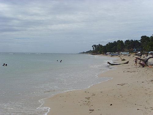Ballade en bord de mer: Guayacanes