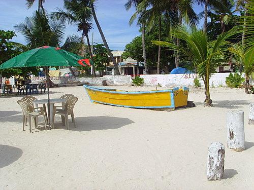 Ballade en bord de mer: Guayacanes