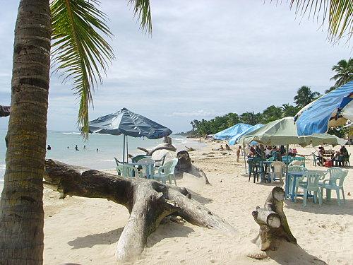 Ballade en bord de mer: Guayacanes