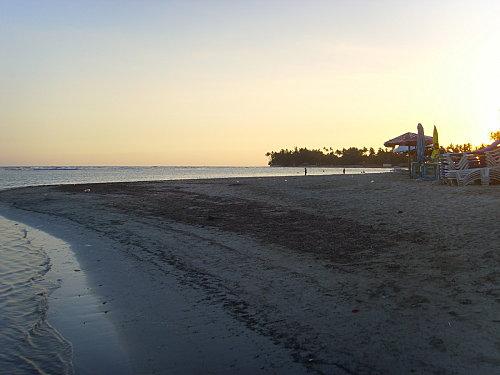 Ballade en bord de mer: Guayacanes