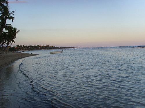Ballade en bord de mer: Guayacanes