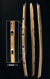 Une flûte de 35.000 ans : de la musique avant toute chose
