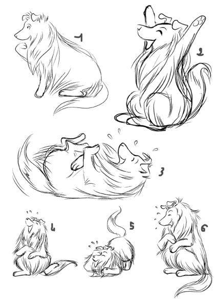 Croquis de shet-mouton et inachevé