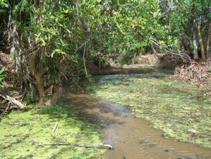 MADAGASCAR 5 : EN ROUTE POUR LES GRANDS TSINGY