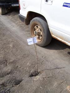 MADAGASCAR 5 : EN ROUTE POUR LES GRANDS TSINGY