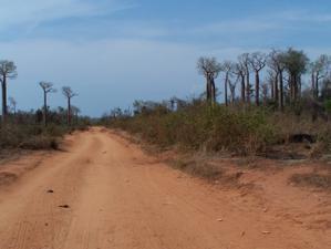 MADAGASCAR 5 : EN ROUTE POUR LES GRANDS TSINGY