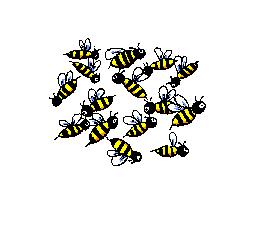 abeille_gif_001