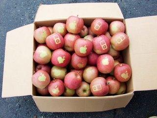 Jusqu’au 30 Juillet : Pommes coquines
