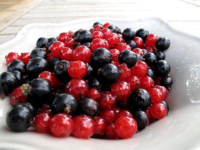 Trifle aux fruits rouges