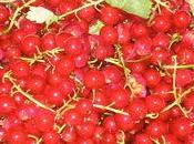 Charlotte-tiramisu groseilles