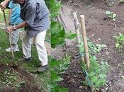 Liens intergénérationnels...