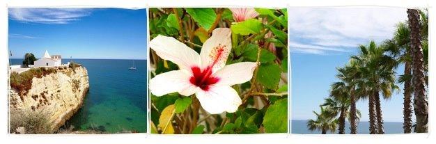 Je pars (encore) au Portugal.