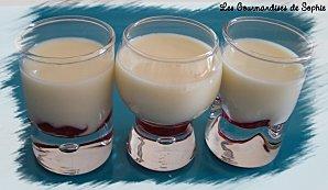 Panna cotta vanillée sur lit de framboises (dessert très light !)