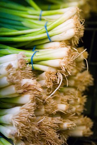 Salade de pommes de terre et truite fumée, sauce crémeuse aux herbes