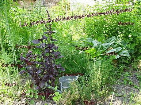 Salade de pommes de terre et truite fumée, sauce crémeuse aux herbes