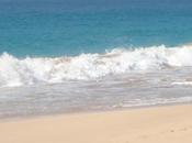 C'est l'été rappels élémentaires