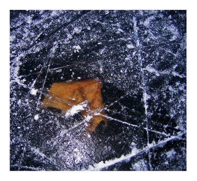 Pêché d'hibernation