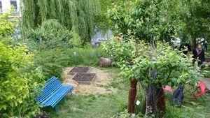 pikokIZwISgHzdO_556x313_noPad