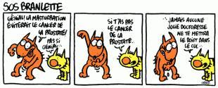 Maurice et Patapon : hausse du pouvoir d'un Charb