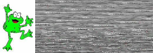 Les 38 paires de chaussures (Suite 1)