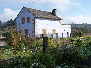 Du bleu dans ma bulle !