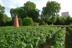 De ville en vigne (1)