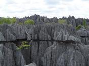 Madagascar grands Tsingy