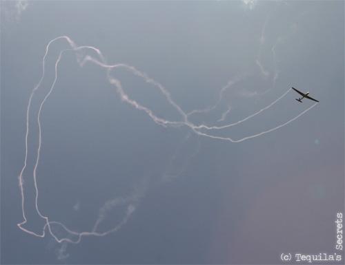 Planeur de voltige Swift (Aéro 2009 - Le Bourget)