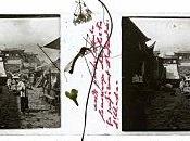 Comme roman Haiku Véronique Dubois