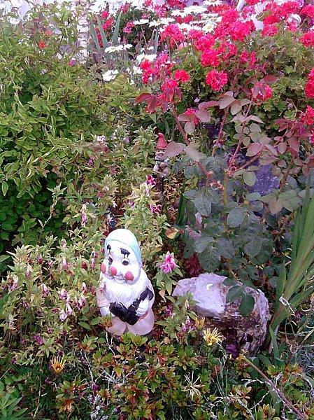 Tous les goûts sont dans le jardin...