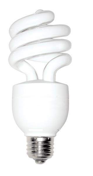 bulb.5.jpg