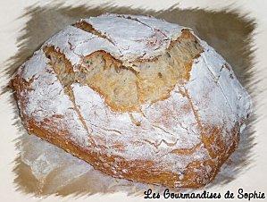 Levain Kayser - Pain au levain et aux céréales extra !!!