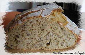 Levain Kayser - Pain au levain et aux céréales extra !!!