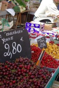 Cerises de l Yonne (ronde sucrée) et cerises de Montmorency (griotte acide)