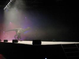 Rétrospective sur 10 ans de cosplay à Japan Expo