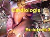 Manuel Resident Cardiologie