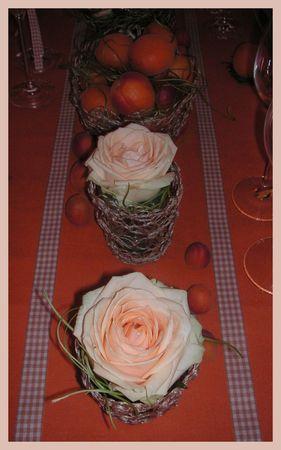 2009_07_07_table_abricots21