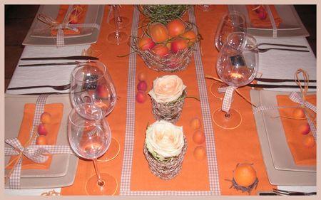2009_07_07_table_abricots19