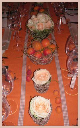 2009_07_07_table_abricots20