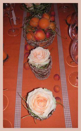 2009_07_07_table_abricots