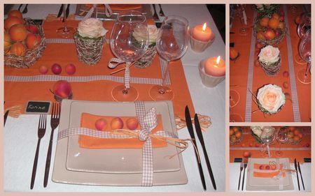 2009_07_07_table_abricots1