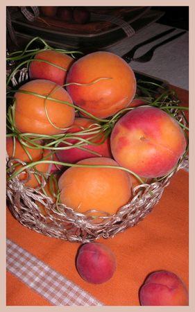 2009_07_07_table_abricots5