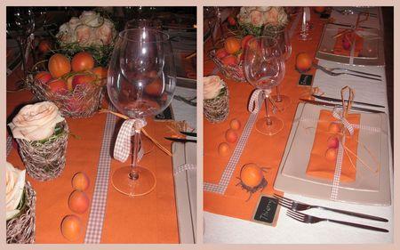 2009_07_07_table_abricots27