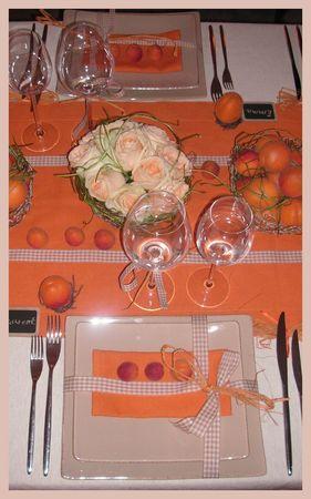 2009_07_07_table_abricots25