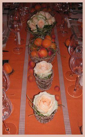 2009_07_07_table_abricots22