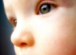 Le gourou le plus cher du monde