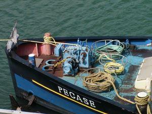 LA ZONE PORTUAIRE DE SALAISE SUR LE RHÔNE (2)